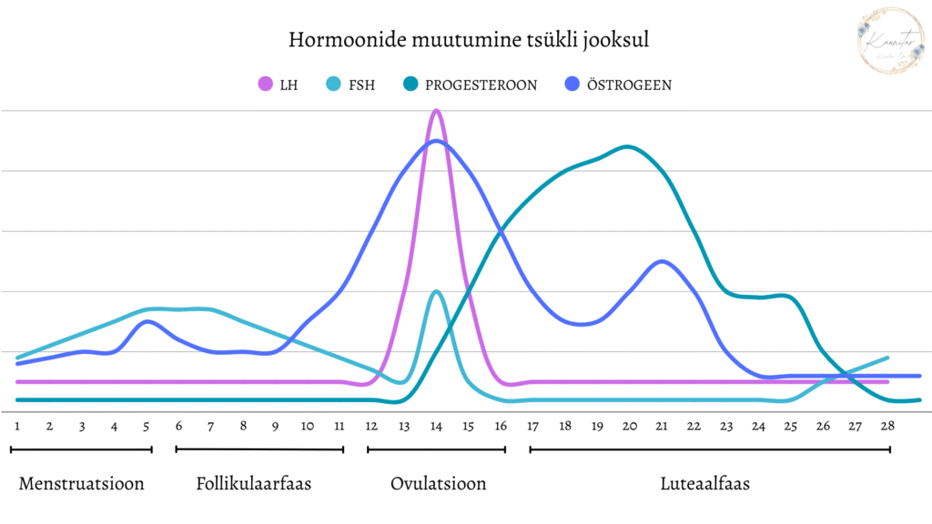 menstruatsiooni graafik