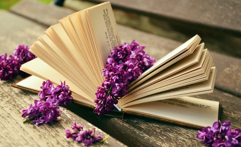 a book, read, relax, lilac, bank, old, book pages, still life, browse, paper, open, leafed through, literature, relax, lilac, lilac, lilac, lilac, lilac, bank, still life, still life, still life, still life, literature